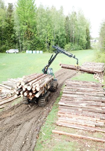 Puukauppapalvelu: Puuta myyntiin