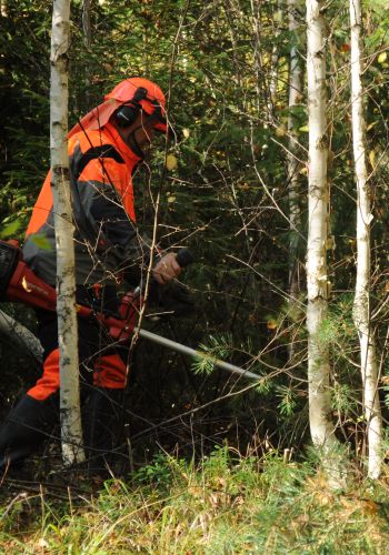 Hakkuualueen ennakkoraivaus