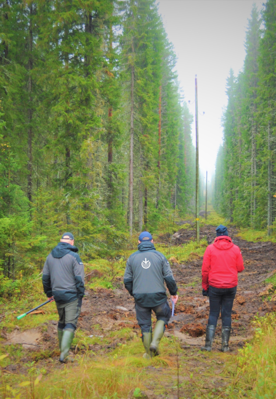 Metsäkäynti oman metsäasiantuntijan kanssa (2 h)